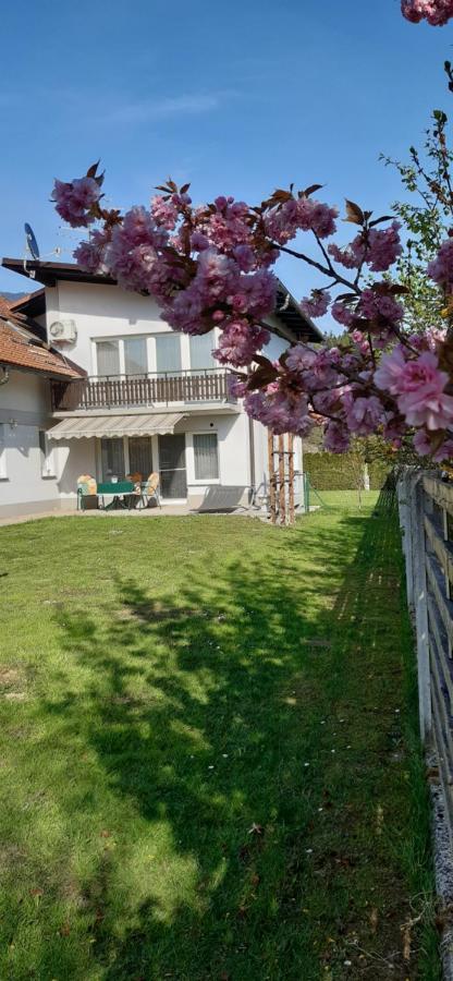 Apartmaji Mojca Криже Екстер'єр фото