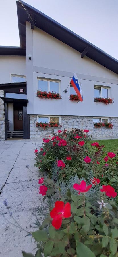Apartmaji Mojca Криже Екстер'єр фото