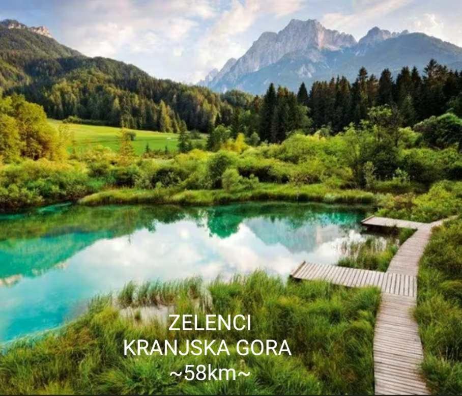 Apartmaji Mojca Криже Екстер'єр фото