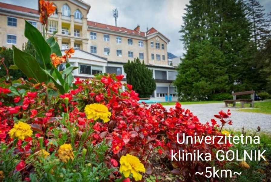 Apartmaji Mojca Криже Екстер'єр фото
